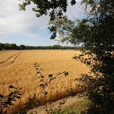 Cowslip Barn Annexe, Countryside Stay Near Чичестер Экстерьер фото